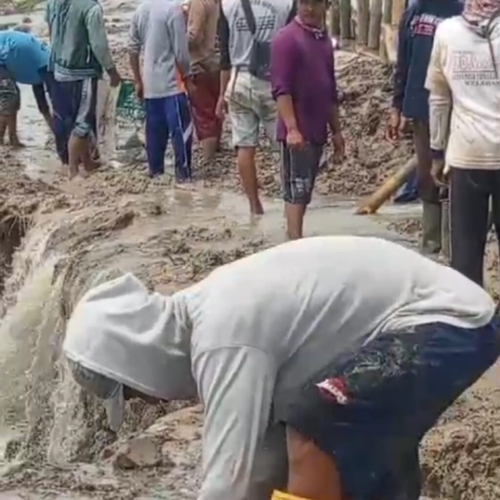 Ngemplik 1 CV JSP tidak hanya kerahkan alat berat, 500 karyawanya juga dikerahkan atasi tanggul jebol Sungai Jratun di desa Ngemplik Wetan.